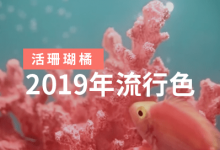2019年流行色：活力珊瑚橘色